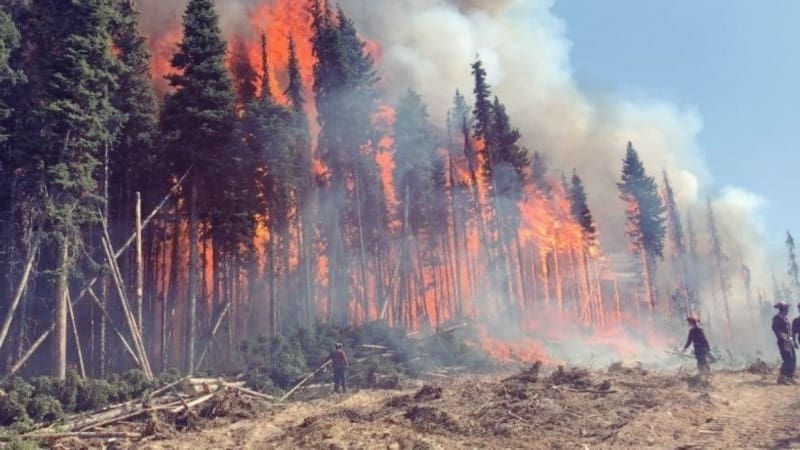 BC Wildfire